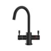 2in1 black boiling filtered tap